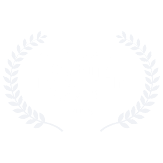 premi pasquale giovine cinema (7)